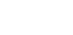 新着情報